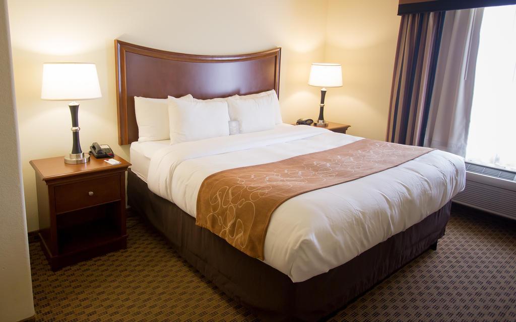 Comfort Suites San Antonio North - Stone Oak Exterior foto