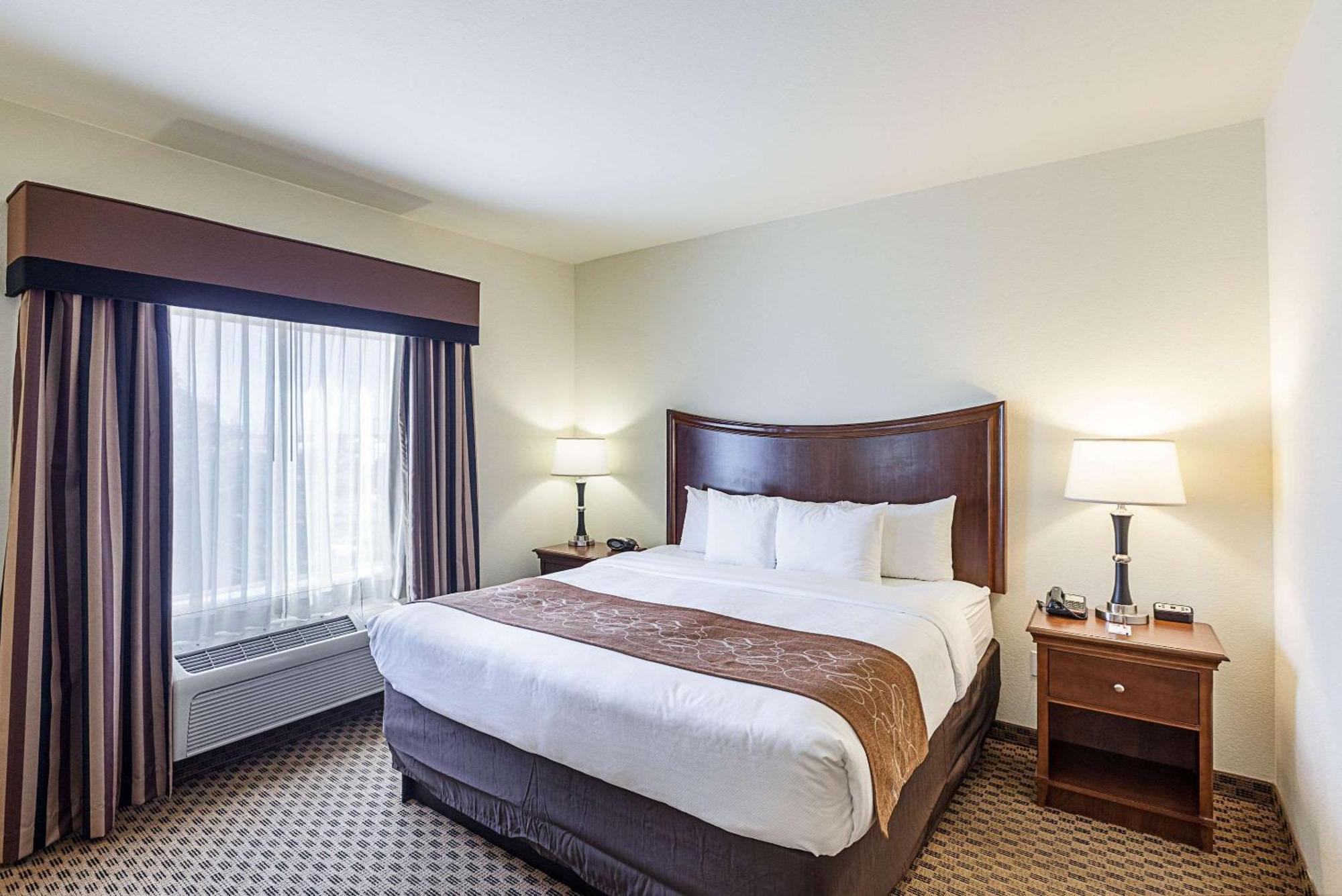 Comfort Suites San Antonio North - Stone Oak Exterior foto