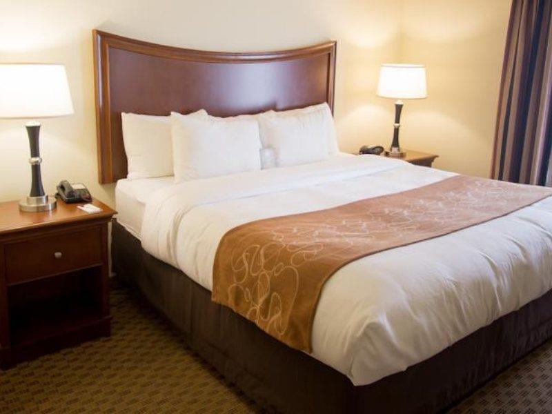 Comfort Suites San Antonio North - Stone Oak Exterior foto
